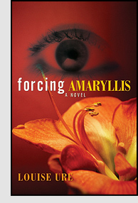 forcing amaryllis